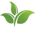GV Logo